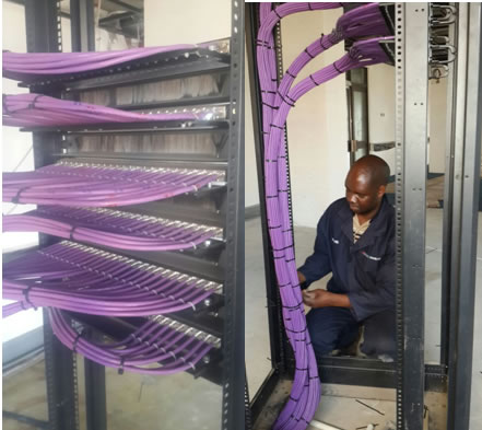 Cabling behind Patch Panels     Figure 2: Cable management in cabinet. 